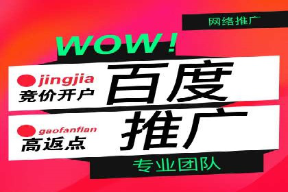 深入剖析SEM公司成功案例：数据驱动的广告策略